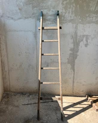Scala professionale da 2.50 metri