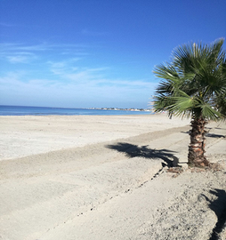 Villa Patri Mazara del Vallo - Sicilia