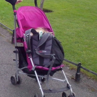 Passeggino MacLaren Buggy Globetrotter