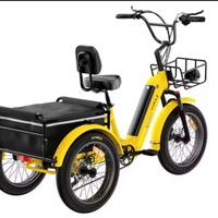 Bici elettrica tre ruote da Cargo Antifurto GPS 