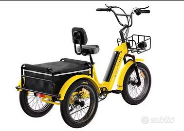 Bici elettrica tre ruote da Cargo Antifurto GPS 
