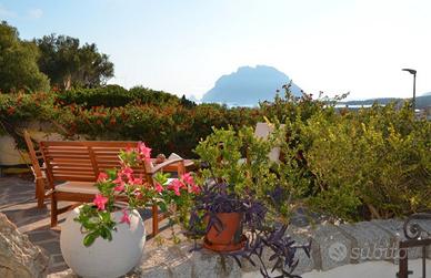 Graziosa villetta a schiera