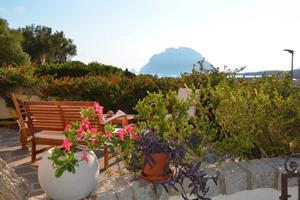 Graziosa villetta a schiera