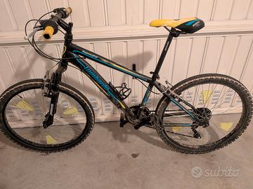 Mountain bike