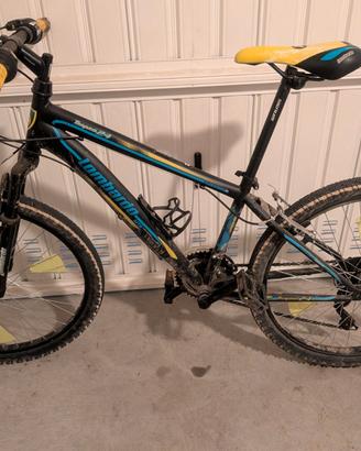 Mountain bike