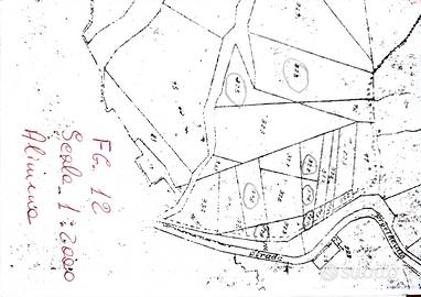 Vendita terreno agricolo