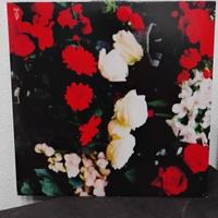 Enciclopedia popolare della vita quotidiana vinile