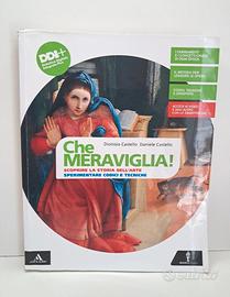 Libri di Arte per Scuola Media