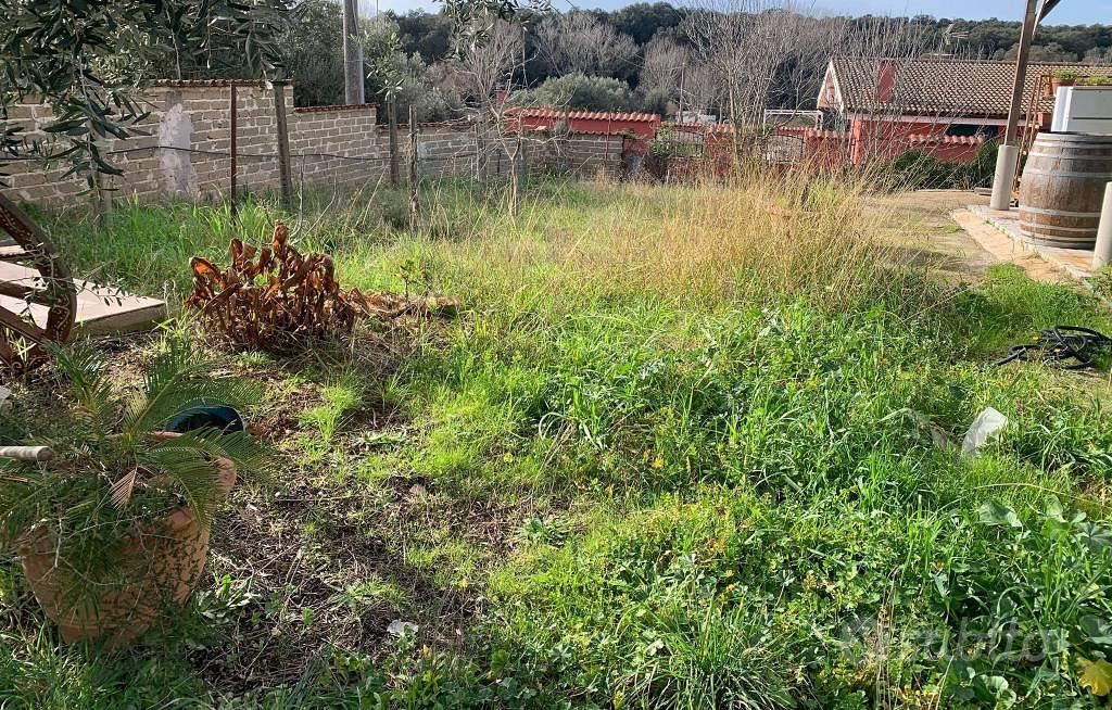 Immobile in asta di 1643 m² a Nettuno - Altro
