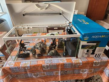 Acquario completo di accessori e prodotti (E' comp