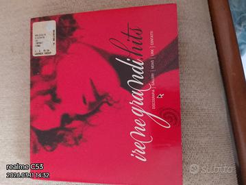 PD Irene Grandi hits