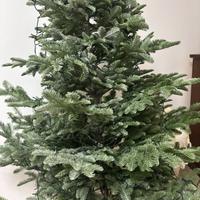 Albero di natale