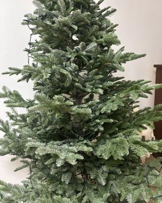 Albero di natale