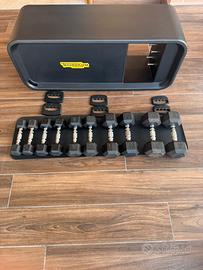 Panca  Technogym + Set Manubri/Knuckle/Tappetino