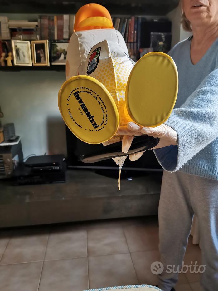 Mucca carolina Vendita in Collezionismo