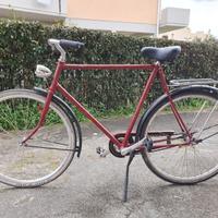 Bicicletta uomo Gazelle