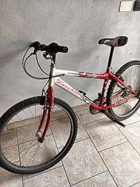 MTB ZECCHINI 