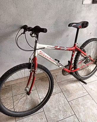 MTB ZECCHINI 