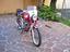 Immagine 4