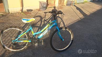 Bicicletta mountain bike