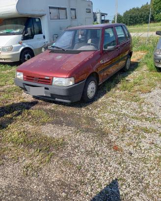 fiat uno