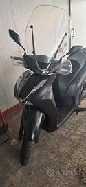 scoter