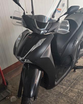 scoter