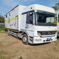 Mercedes Benz 12-23 TRASPORTO CAVALLI 8 POSTI
