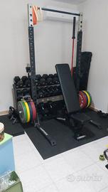 Palestra lacertosus
