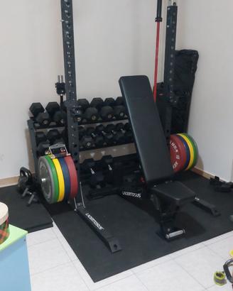Palestra lacertosus