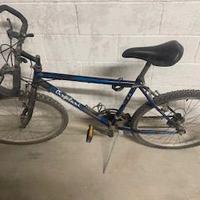 due bici 40 ciascuna