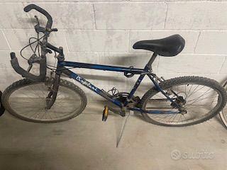 due bici 40 ciascuna