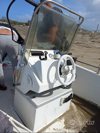 Barca prendisole con motore mercury
