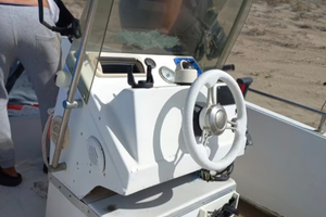 Barca prendisole con motore mercury