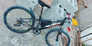 Bicicletta
