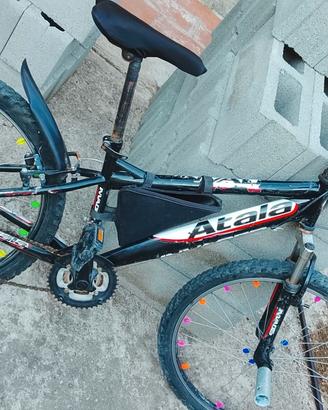 Bicicletta