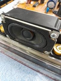 2 altoparlanti per TV Samsung 19 pollici.