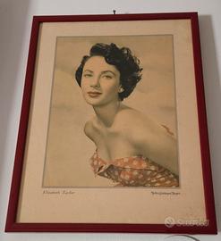 Póster locandina della famosa attrice Elizabeth