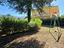 Immagine 23