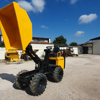 Mecalac Terex Dumper 10 quintali anno 2018