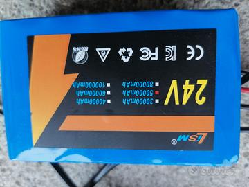 Ebike batteria