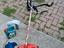 Immagine 3
