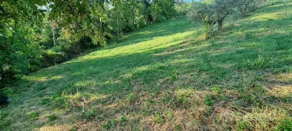 Terreno di 4309 m² a Gemmano - Vista 2