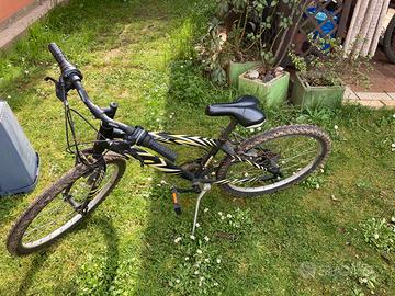 Bicicletta mountain bike