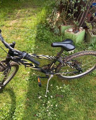 Bicicletta mountain bike