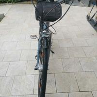 bicicletta vertex