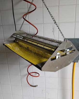 lampada cattura insetti
