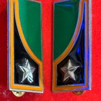 Mostrine alpini : Artiglieria alpina