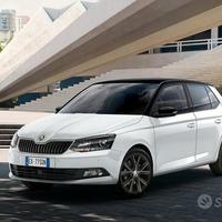 Fabia ricambi musata