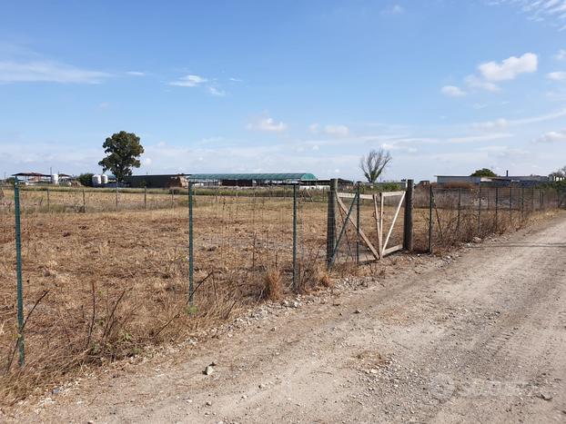 Rif 323 terreno agricolo recintato di 1.000mq